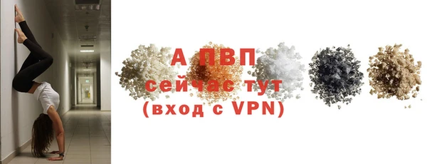 ALPHA PVP Бородино