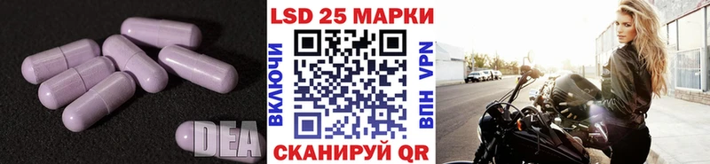 где найти наркотики  Острогожск  LSD-25 экстази ecstasy 