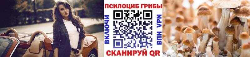 kraken ONION Острогожск Псилоцибиновые грибы Cubensis